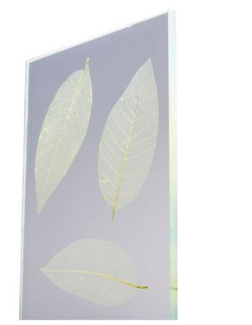 Szkło laminowane natural leaves